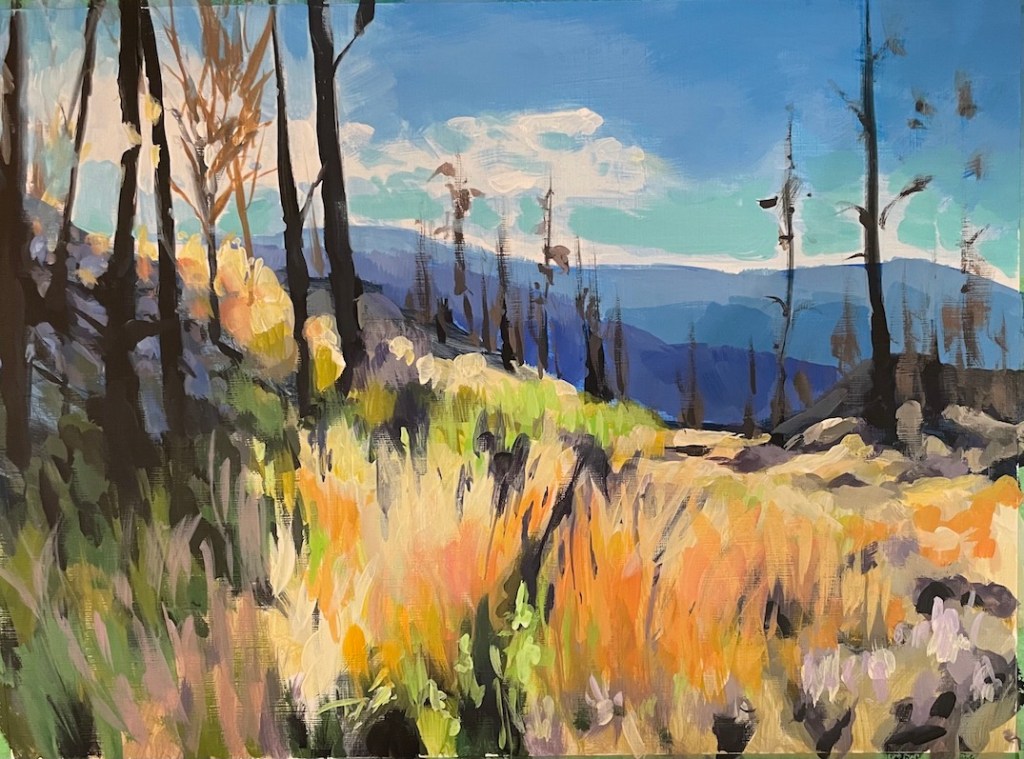 Skaha Bluffs after the&nbsp;fire